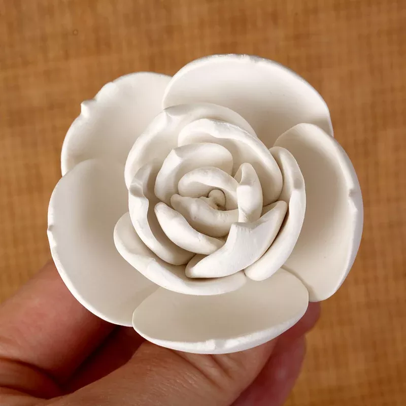small-succulent-round-white Small Succulent (Round) - White