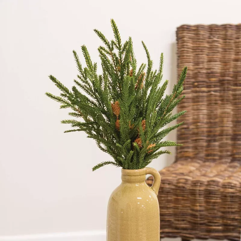 soft-touch-austrian-pine-bush-20 Soft Touch Austrian Pine Bush – 20″