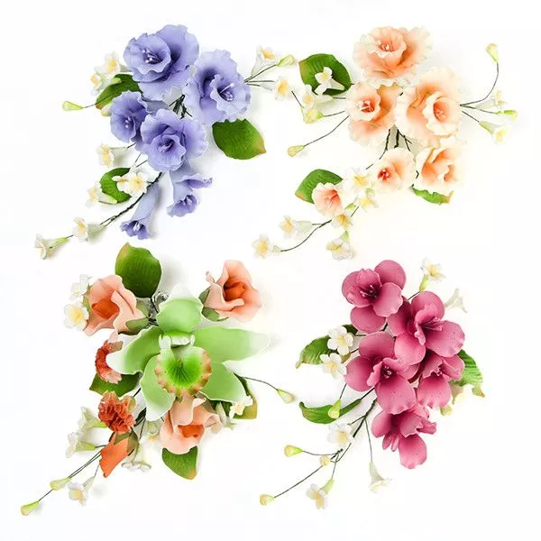spray-set-6c Spray Set 6C