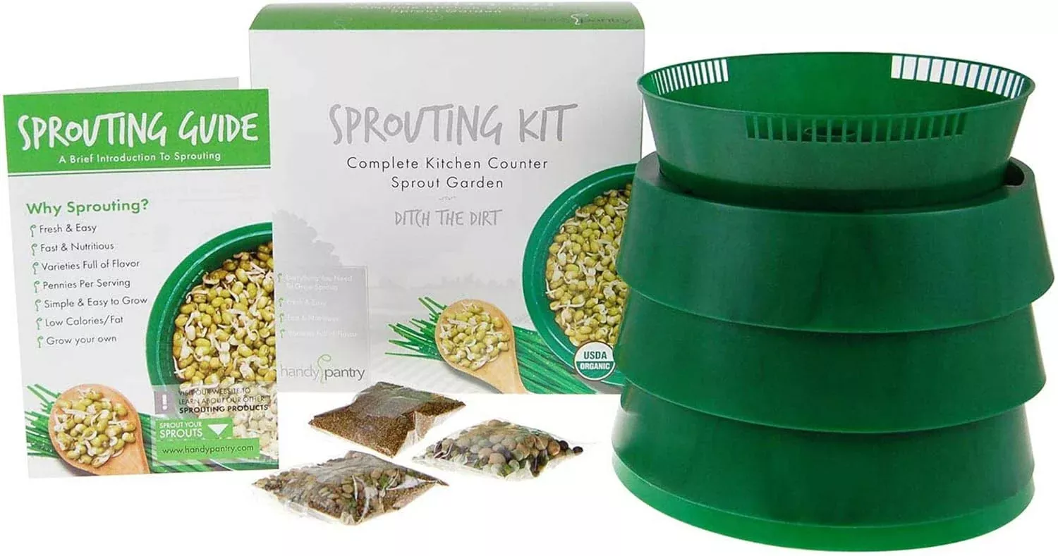 sprout-garden The Sprout Garden