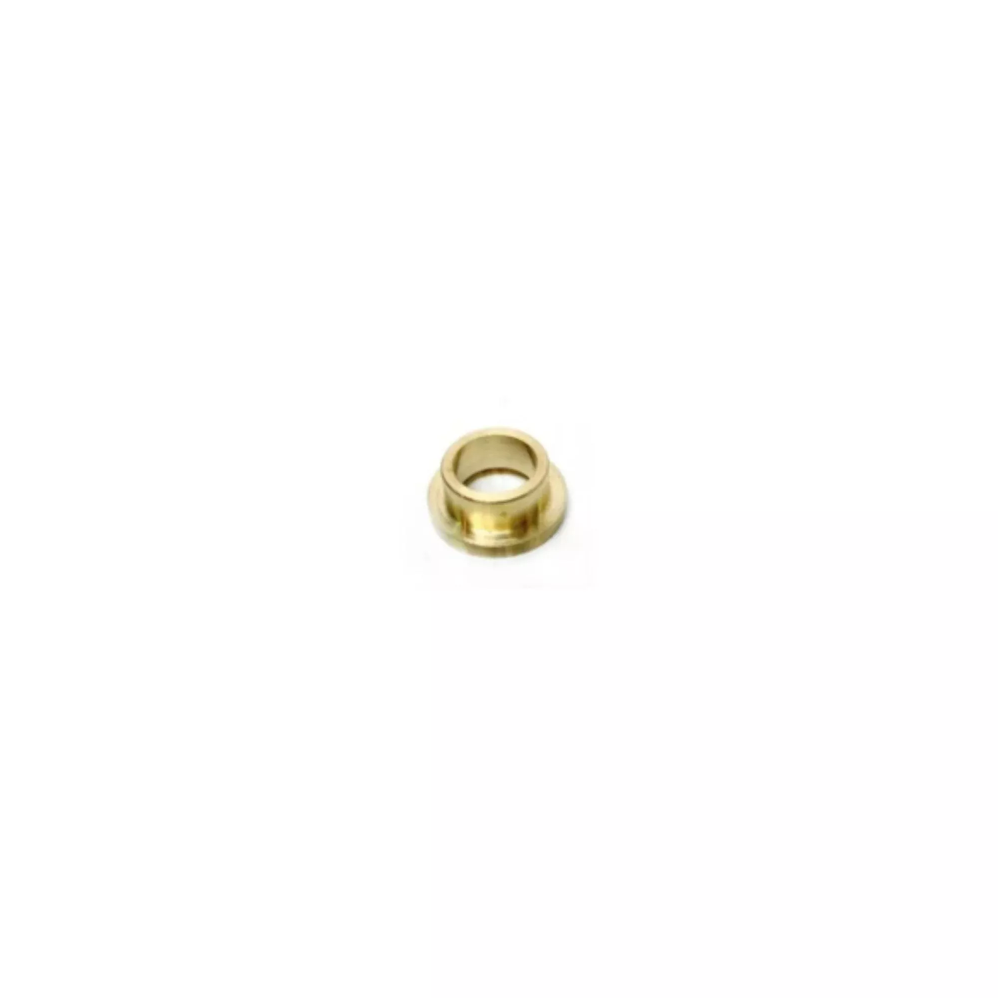 steam-water-wand-spring-guide-i-1185 Steam/Water Wand Spring Guide (i.1185)