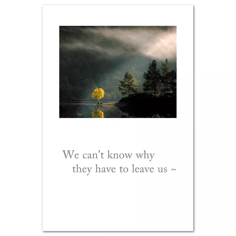 sunbeam-tree-on-lake-condolence-card Sunbeam Tree on Lake Condolence Card