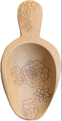 Talisman Designs Beechwood Mini Scoop Succulent Design