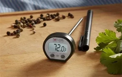 taylor-high-temperature-thermometer Taylor High Temperature Thermometer