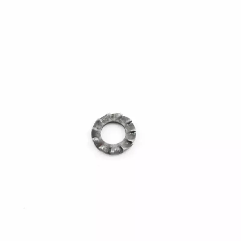 Washer, Burnished UNI 8842 A4