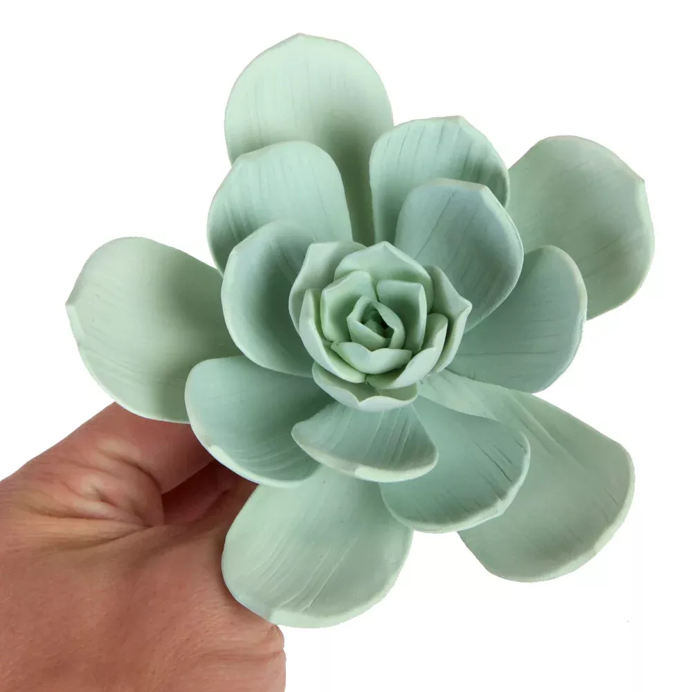 wild-desert-flower-succulent-green Wild Desert Flower Succulent - Green